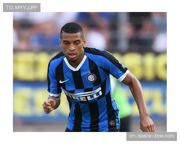 环保进行时：雷恩主场成为法甲首个全面使用太阳能供电的体育场